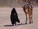 Бедуинка с верблюдом Египет (Large).JPG