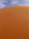 В пустыне Тенере.Сахара. Нигер (Large).jpg