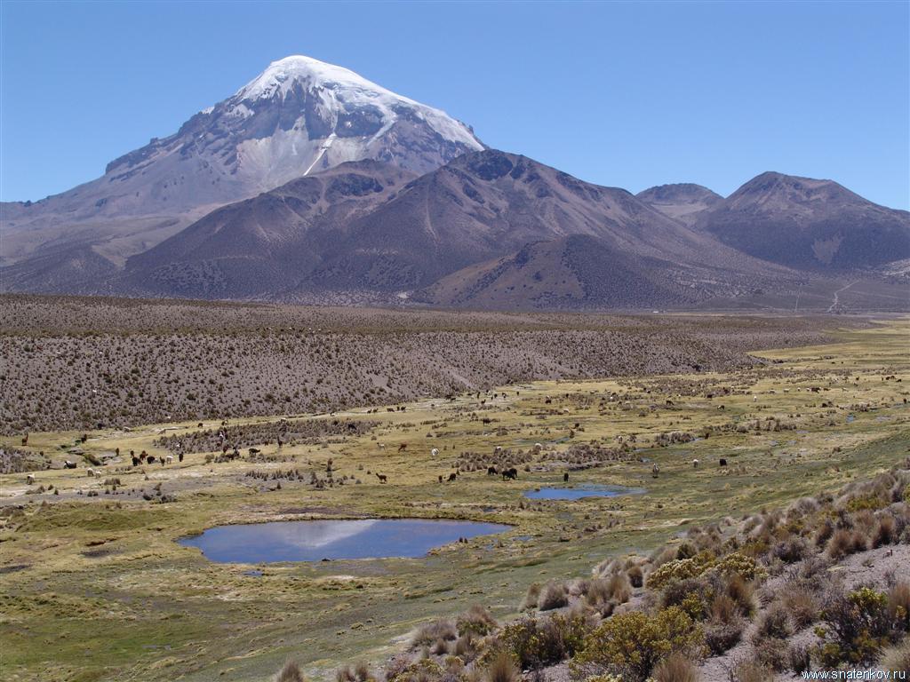 Вулкан Сахама (6520м) Альтиплано.Боливия (Large).JPG
