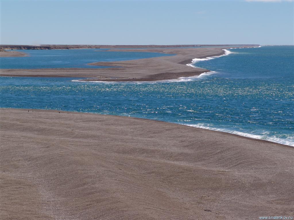 Полуостров Вальдес.Аргентина (Large).JPG