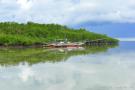 _DSC6383 Берег мангровых зарослей. Остров Панглао. Филиппины.jpg