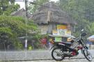 _DSC6385 Тропический дождь. Филиппины.jpg